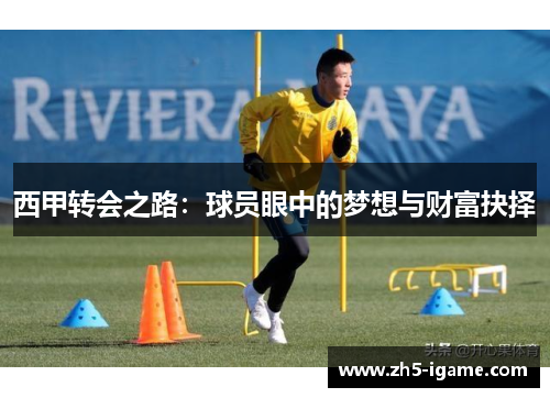 西甲转会之路:球员眼中的梦想与财富抉择 西甲转会之路:球员眼中的梦想与财富抉择