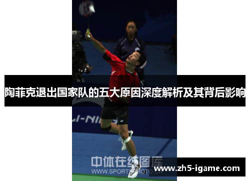 陶菲克退出国家队的五大原因深度解析及其背后影响