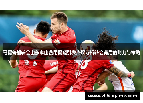 马德鲁加转会山东泰山费用揭晓引发热议分析转会背后的财力与策略